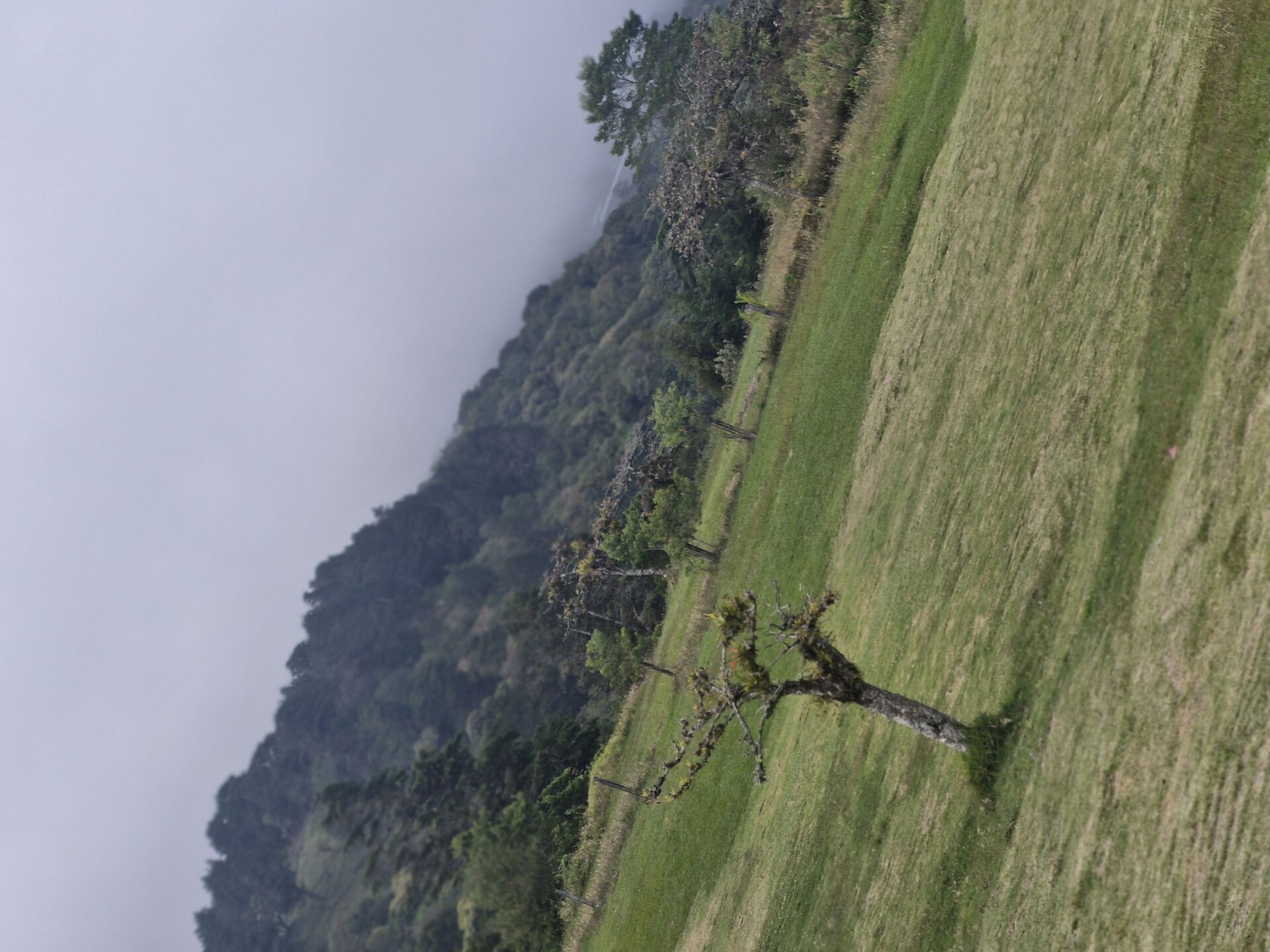 Vista del terreno